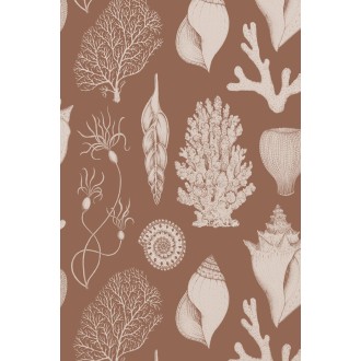 marron toffee - papier peint Shells - Katie Scott - Ferm Living