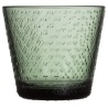 Set of 2 tumblers 29 cl Tundra - Pine green - Iittala