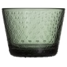 Set de 2 verres 16 cl Tundra - Vert sapin - Iittala