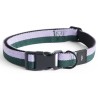 Dog collar M/L - lavender and green - HAY