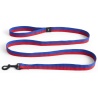 Dog leash flat - red and blue - HAY