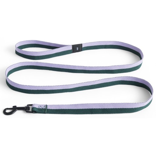 Dog leash flat - lavender and green - HAY