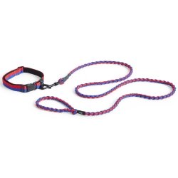 Dog collar M/L - red and blue - HAY