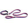 Dog leash flat - red and blue - HAY