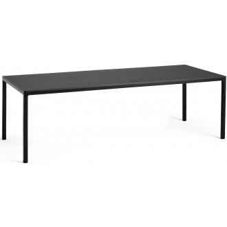 250x95cm - T12 Table